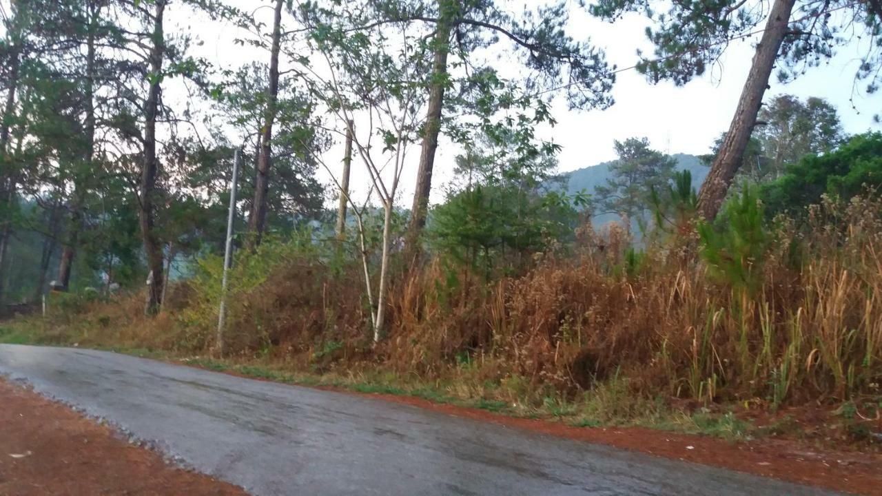 格劳 罗马青年旅馆旅舍 外观 照片